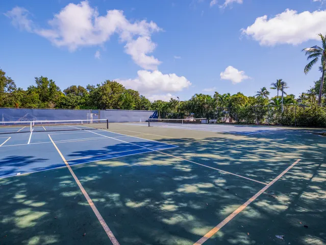 a view of outdoor space with palm trees
