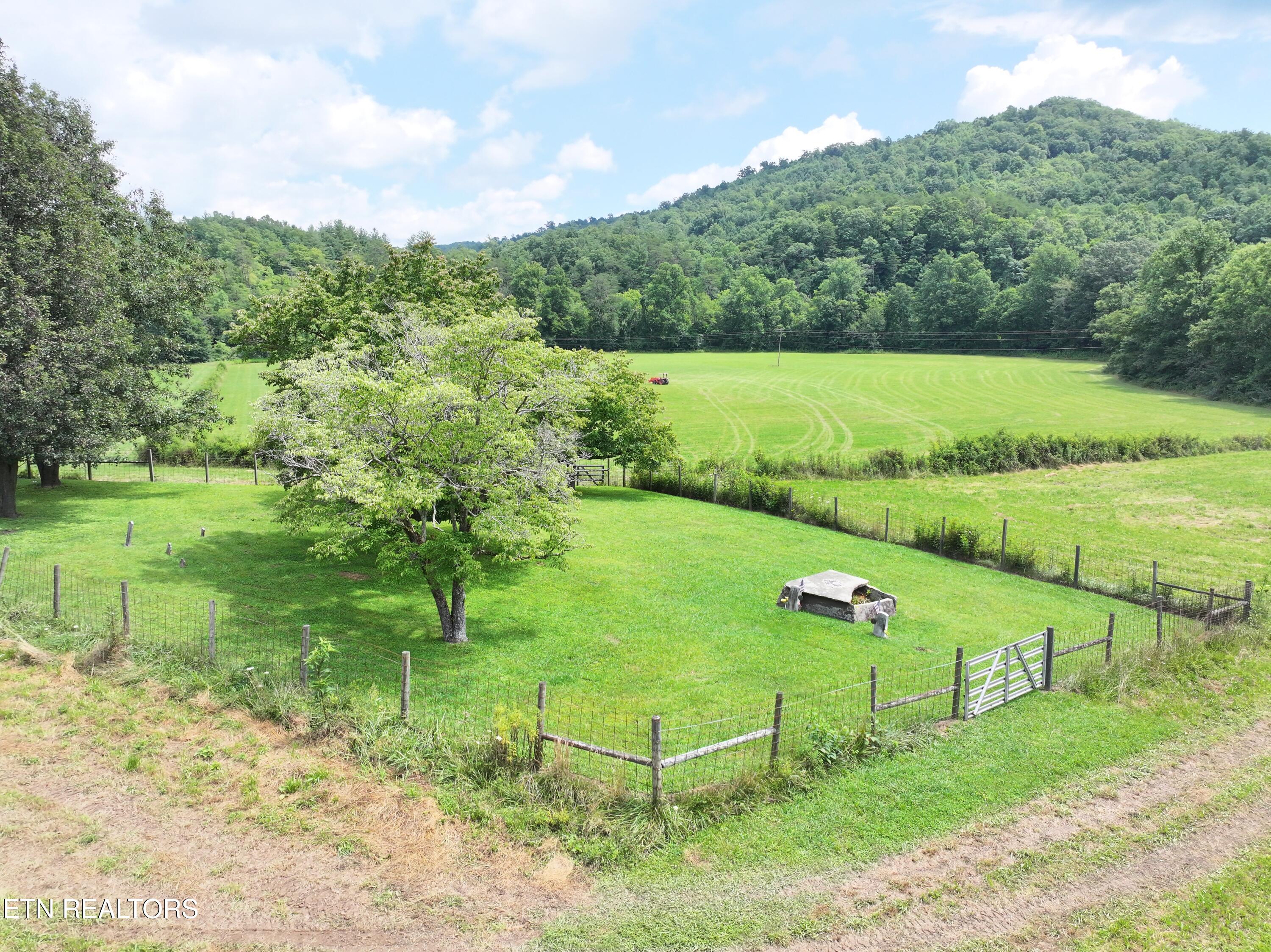 7914 Brimstone Road Robbins, TN 37852 - Photo 47 of 57 dji_fly_20260709_090550_0803_17836841196