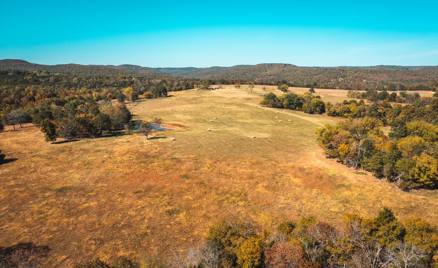 2 Gunnison Road Kirbyville, MO 65679 - Photo 10 of 14 IMG_0343