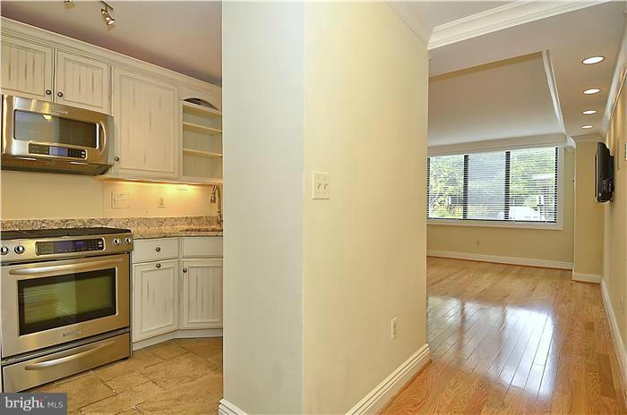 5225 Pooks Hill Road, Unit 103S Bethesda, MD 20814 - Photo 4 of 23 Interior (General)