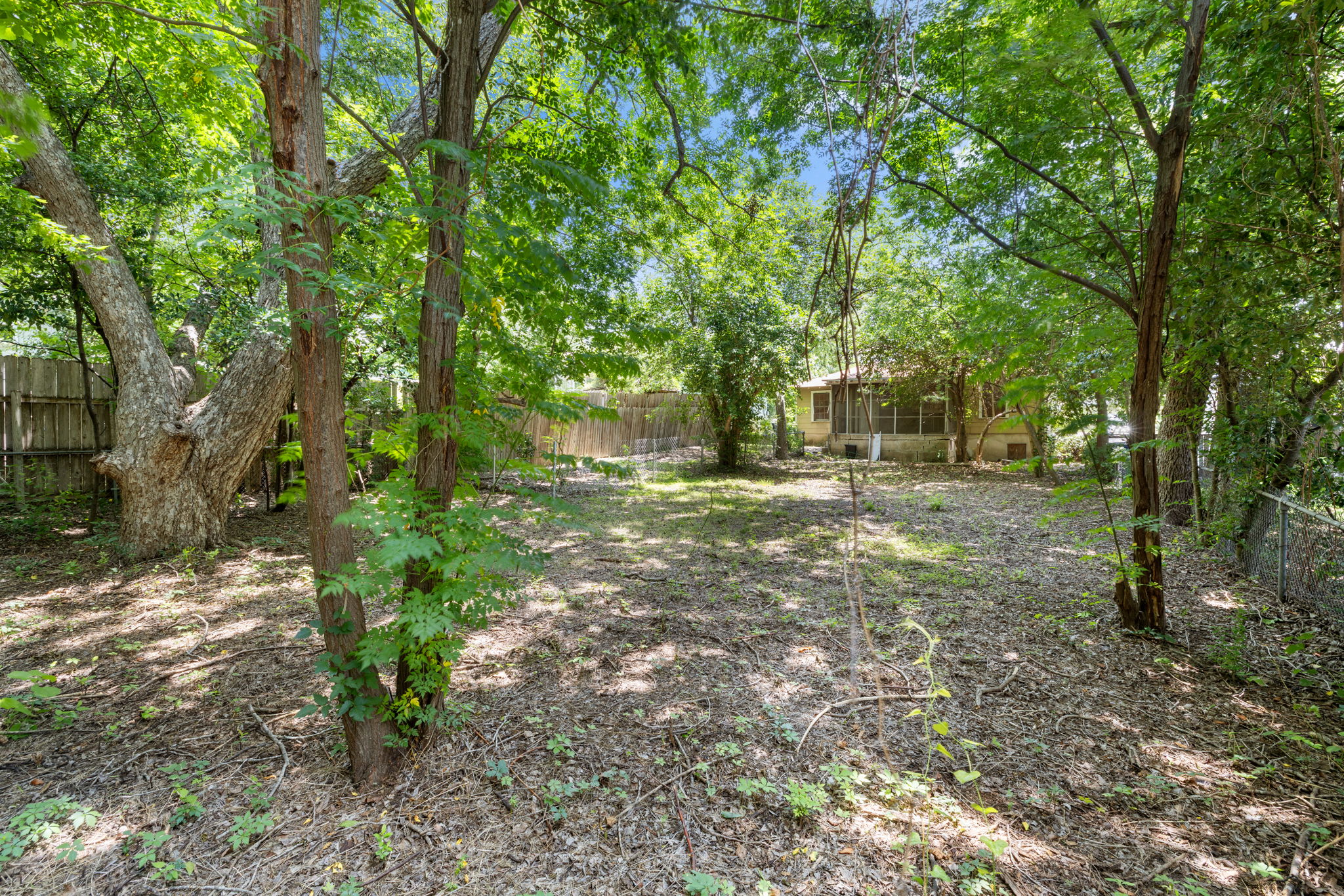 3704 Cherrywood Road Austin, TX 78722 - Photo 35 of 40 A spacious backyard surrounded by mature trees offers ample room for outdoor activities.
