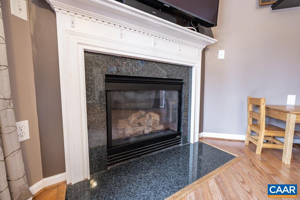 1605 Beautiful Run Road Aroda, VA 22709 - Photo 23 of 63 a living room with furniture and a fireplace