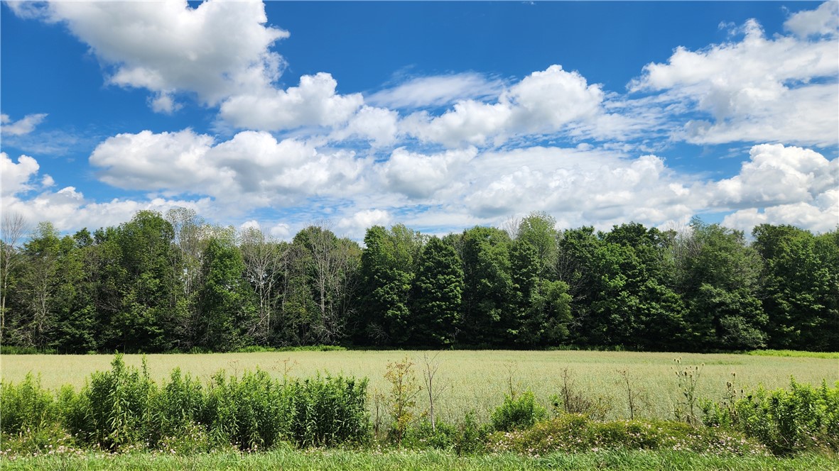 351 Clancy Road Greenwood, NY 14806 - Photo 36 of 50 Gallery Image 36