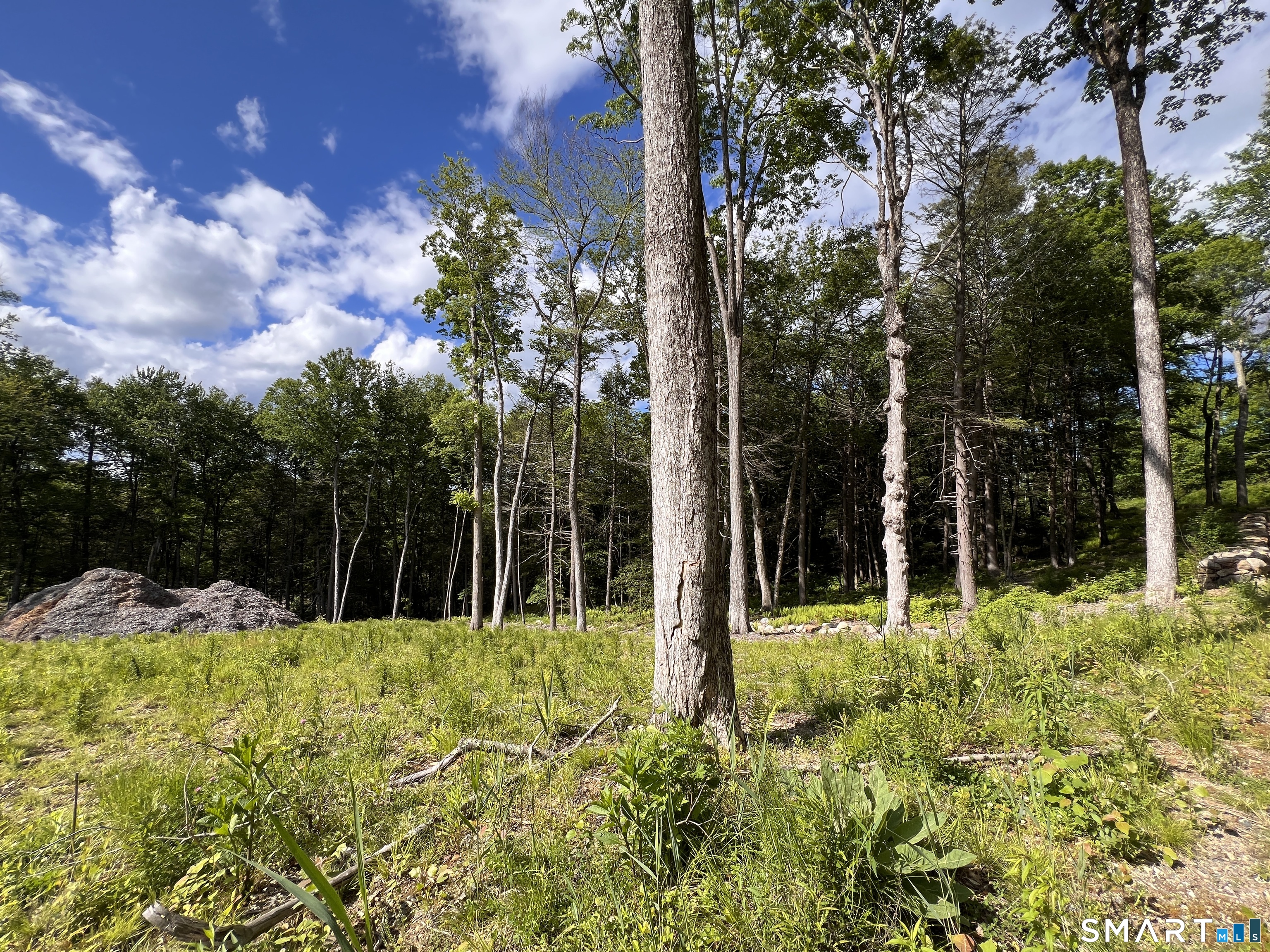 Cotton Hill Road New Hartford, CT 06057 - Photo 4 of 8