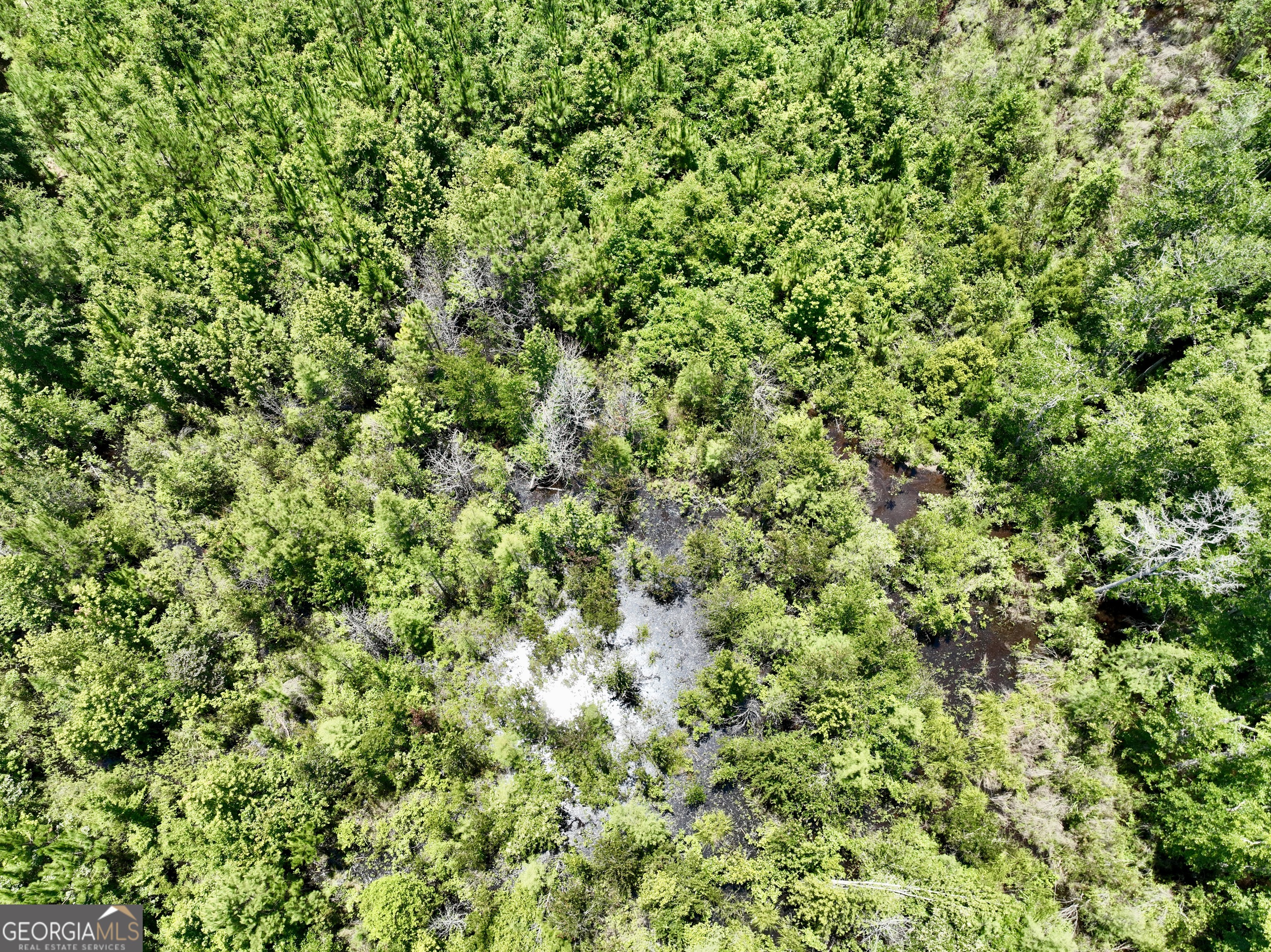 0 West River Road Rhine, GA 31077 - Photo 21 of 31