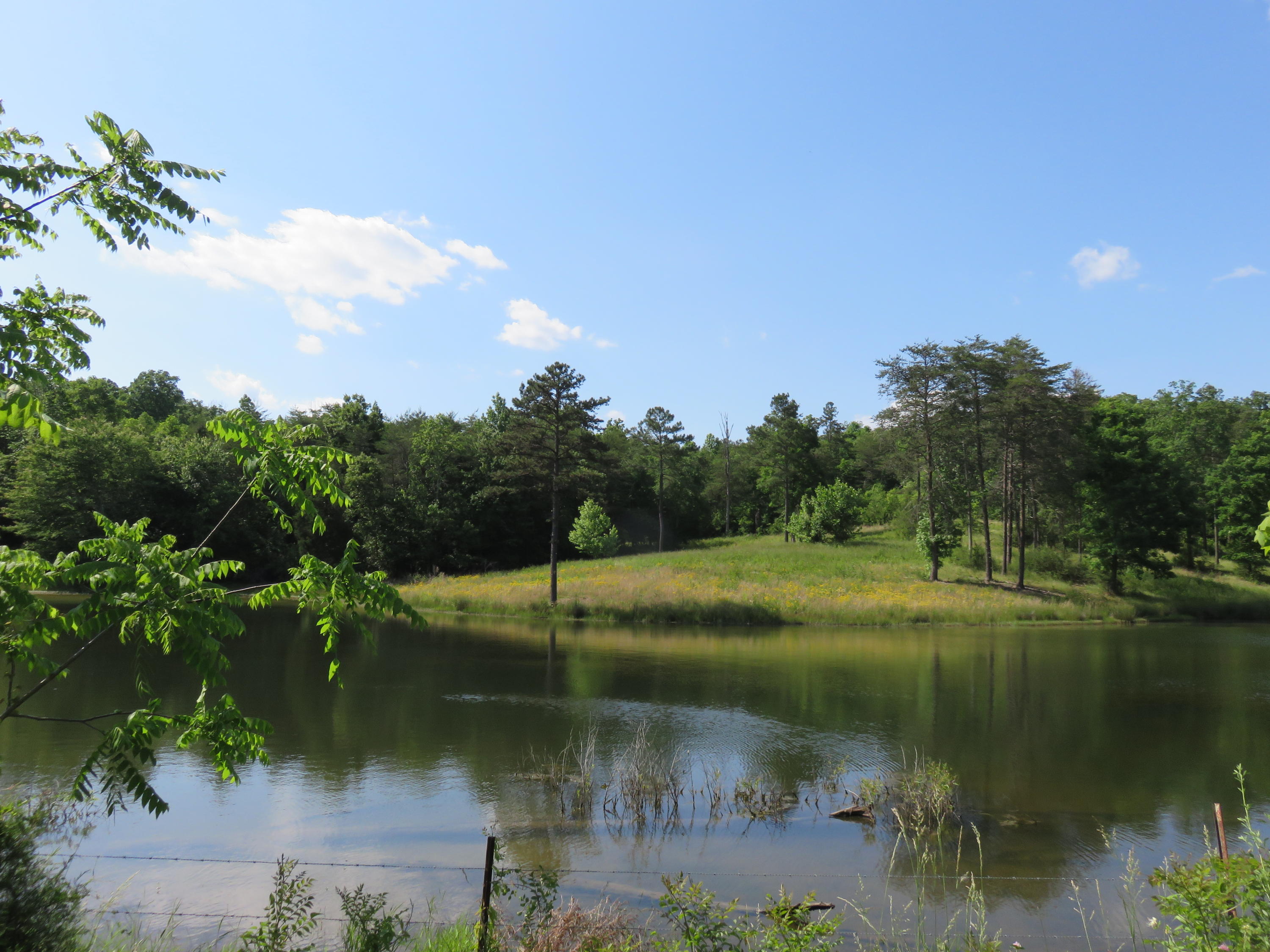 Lot #2 Humphrey's Road Philadelphia, TN 37846 - Photo 2 of 7 IMG_3929