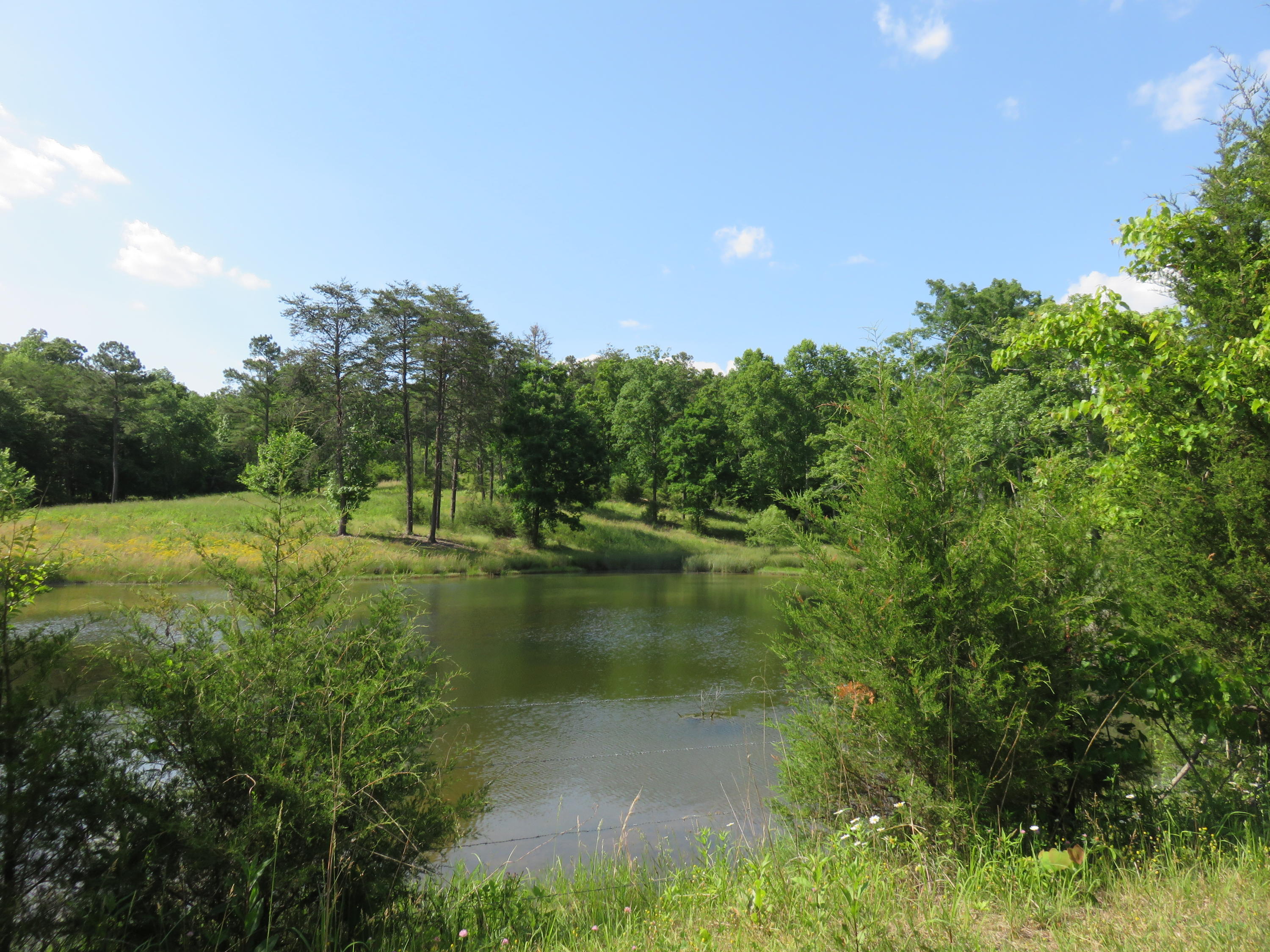 Lot #2 Humphrey's Road Philadelphia, TN 37846 - Photo 4 of 7 IMG_3931
