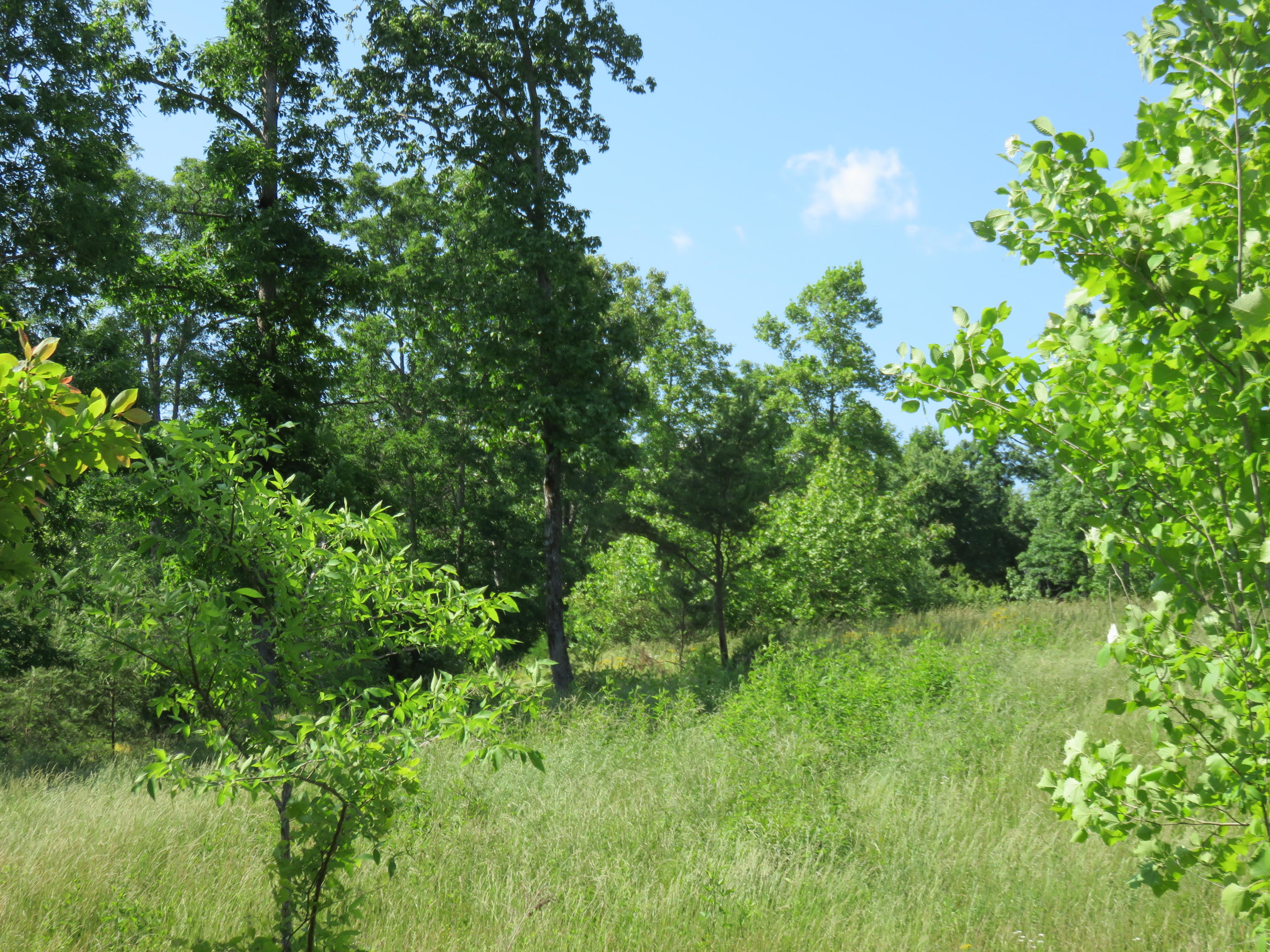 Lot #2 Humphrey's Road Philadelphia, TN 37846 - Photo 5 of 7 IMG_3932