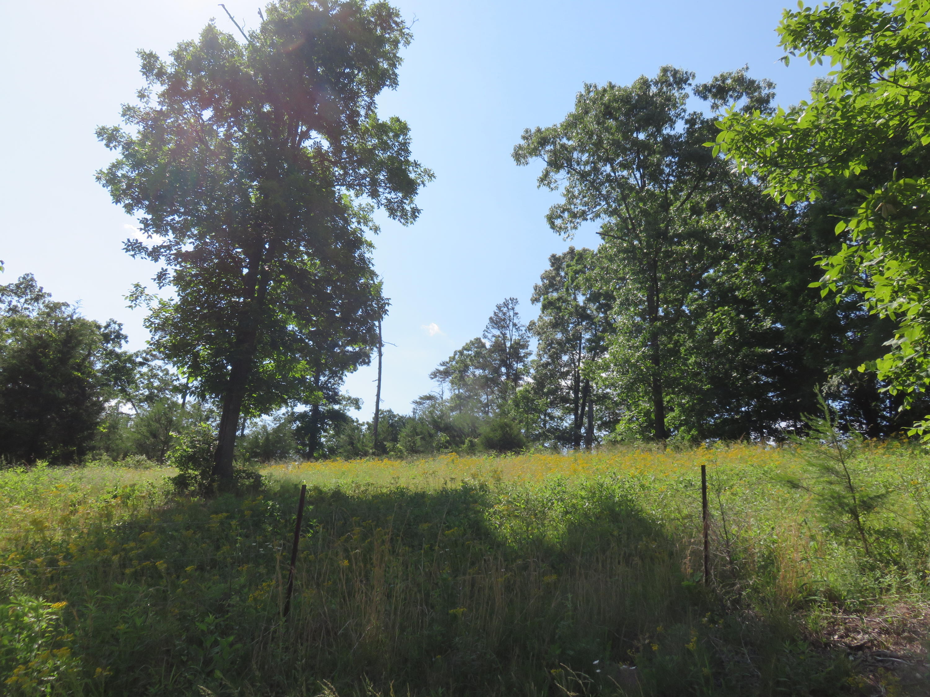 Lot #2 Humphrey's Road Philadelphia, TN 37846 - Photo 7 of 7 IMG_3934