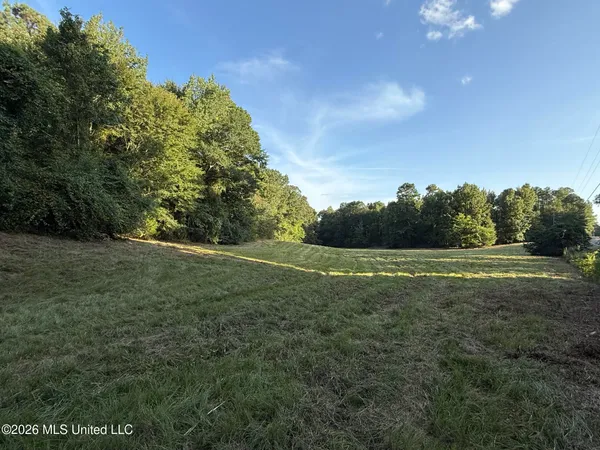 $80,000 | North Jordan Street, Carthage, MS 39051