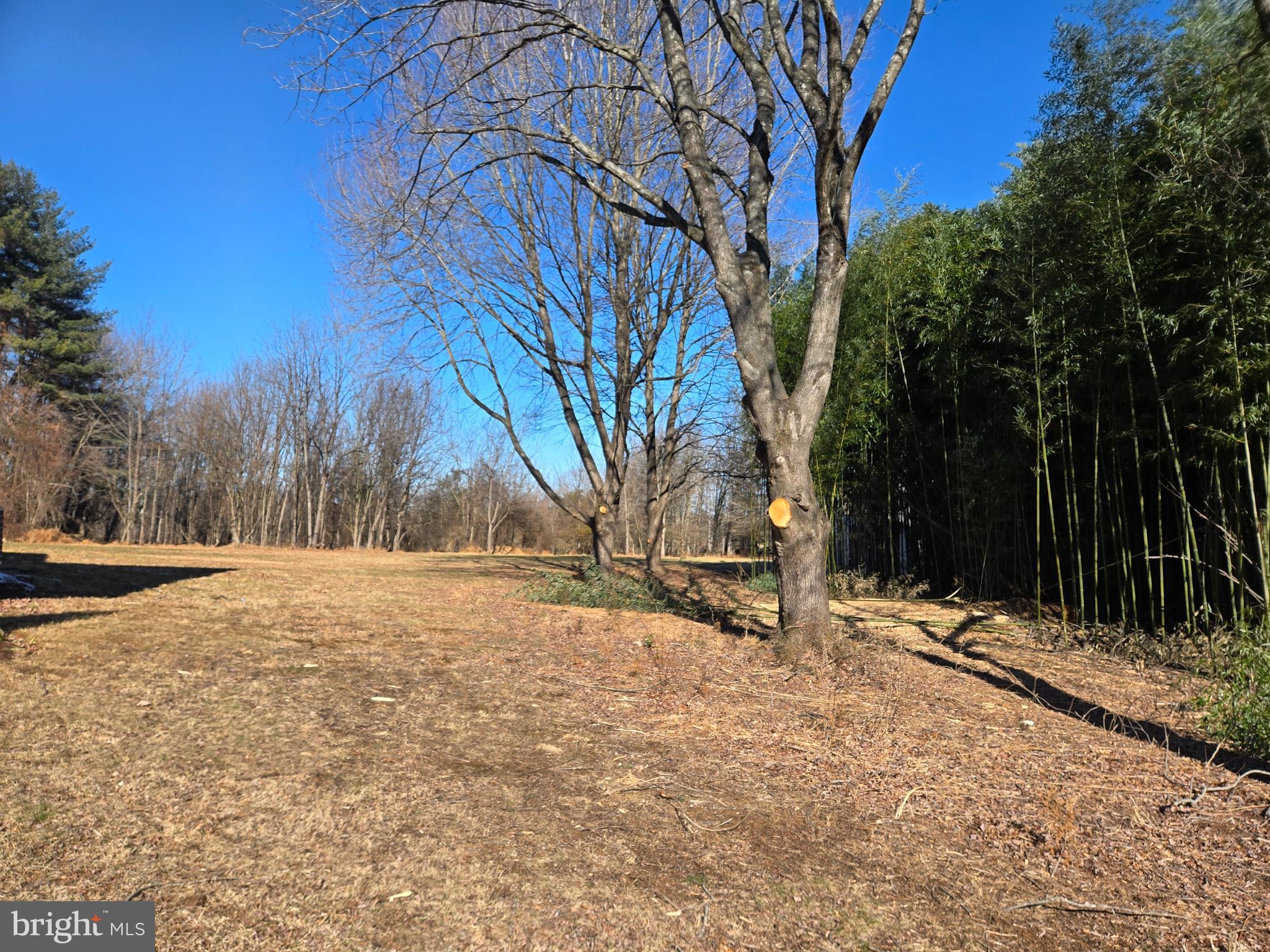 3415 Jennings Chapel Road Woodbine, MD 21797 - Photo 4 of 5