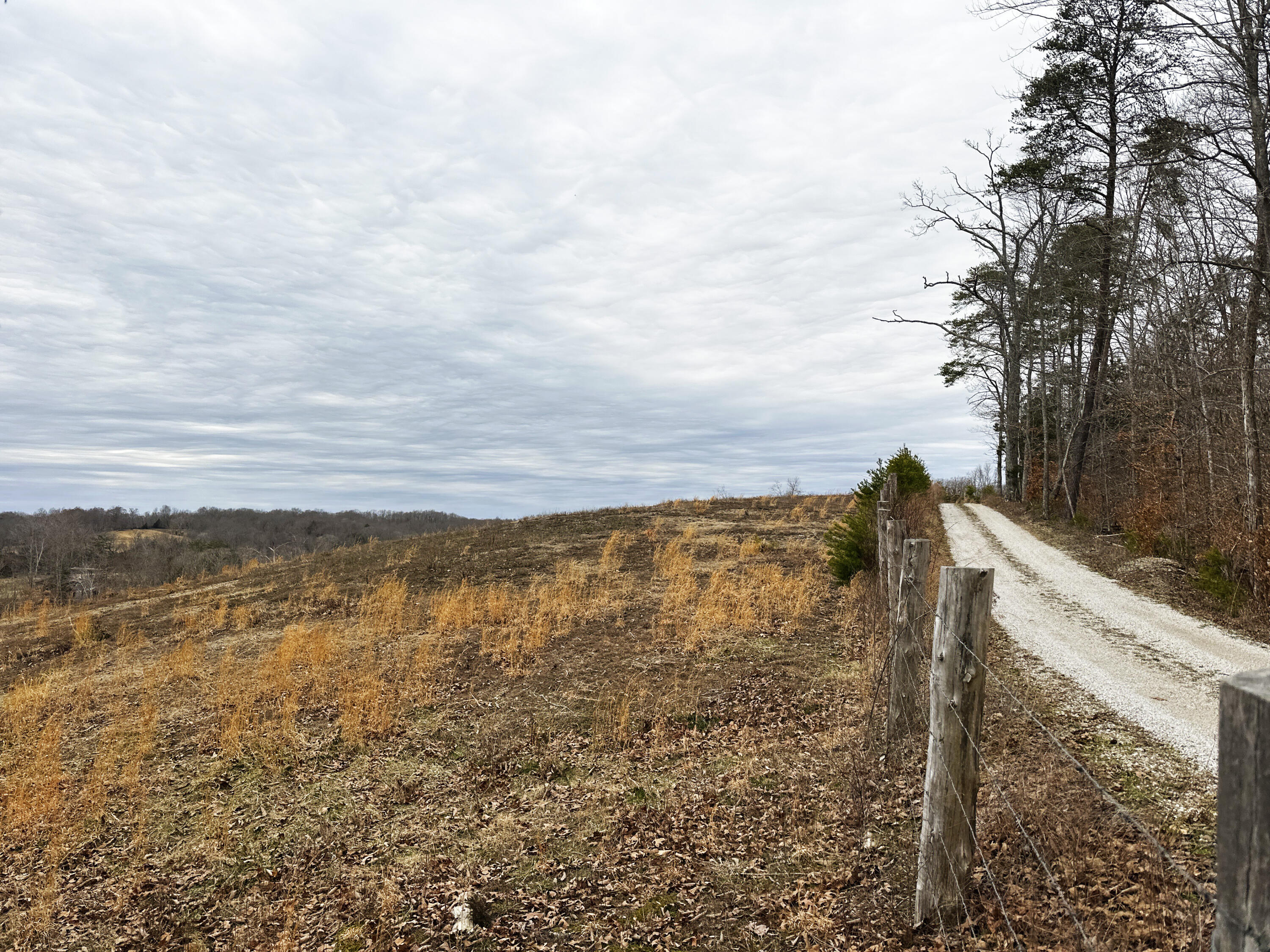 2820.5 New Fox Road Irvine, KY 40336 - Photo 25 of 55 20250312212010372429000000-o