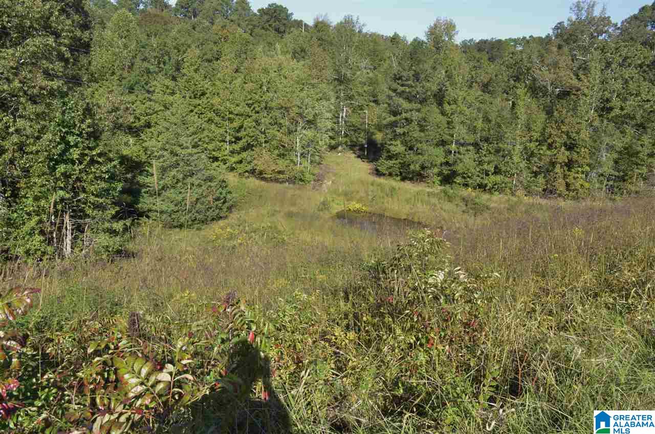 516 Wilson Mine Road Piedmont, AL 36272 - Photo 23 of 35
