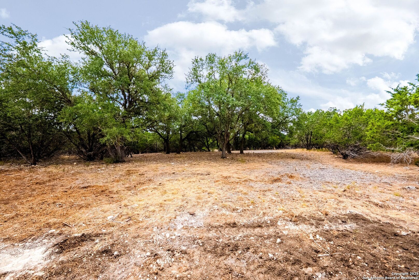 456 Rio Azul Drive Pipe Creek, TX 78063 - Photo 51 of 56