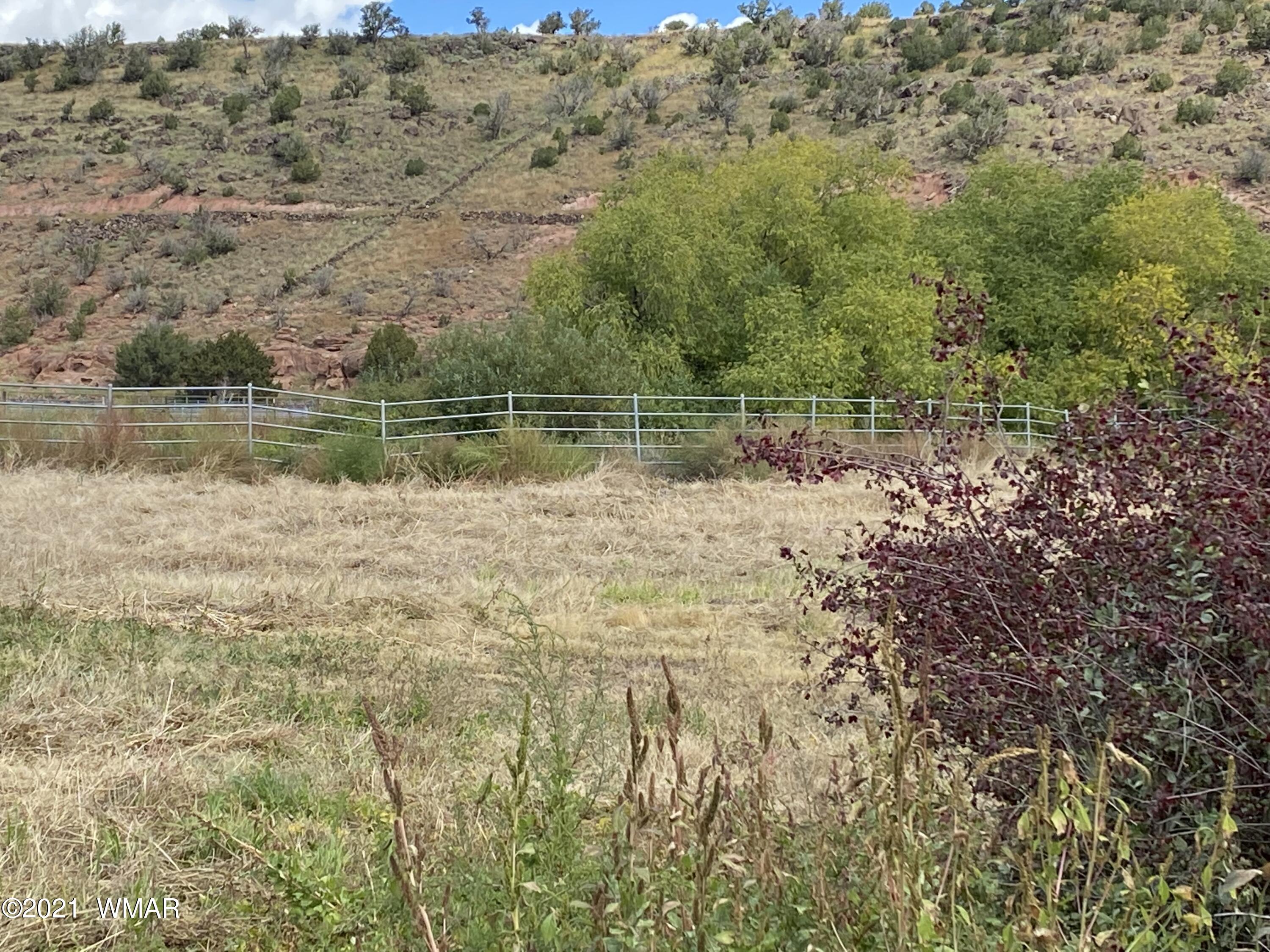 157 East Emerald Lane Springerville, AZ 85938 - Photo 18 of 25