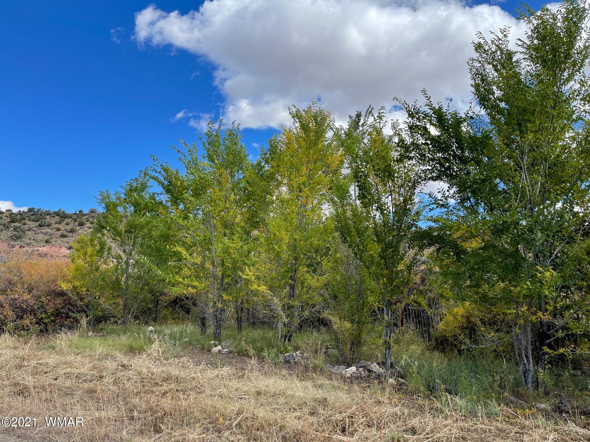 157 East Emerald Lane Springerville, AZ 85938 - Photo 2 of 25