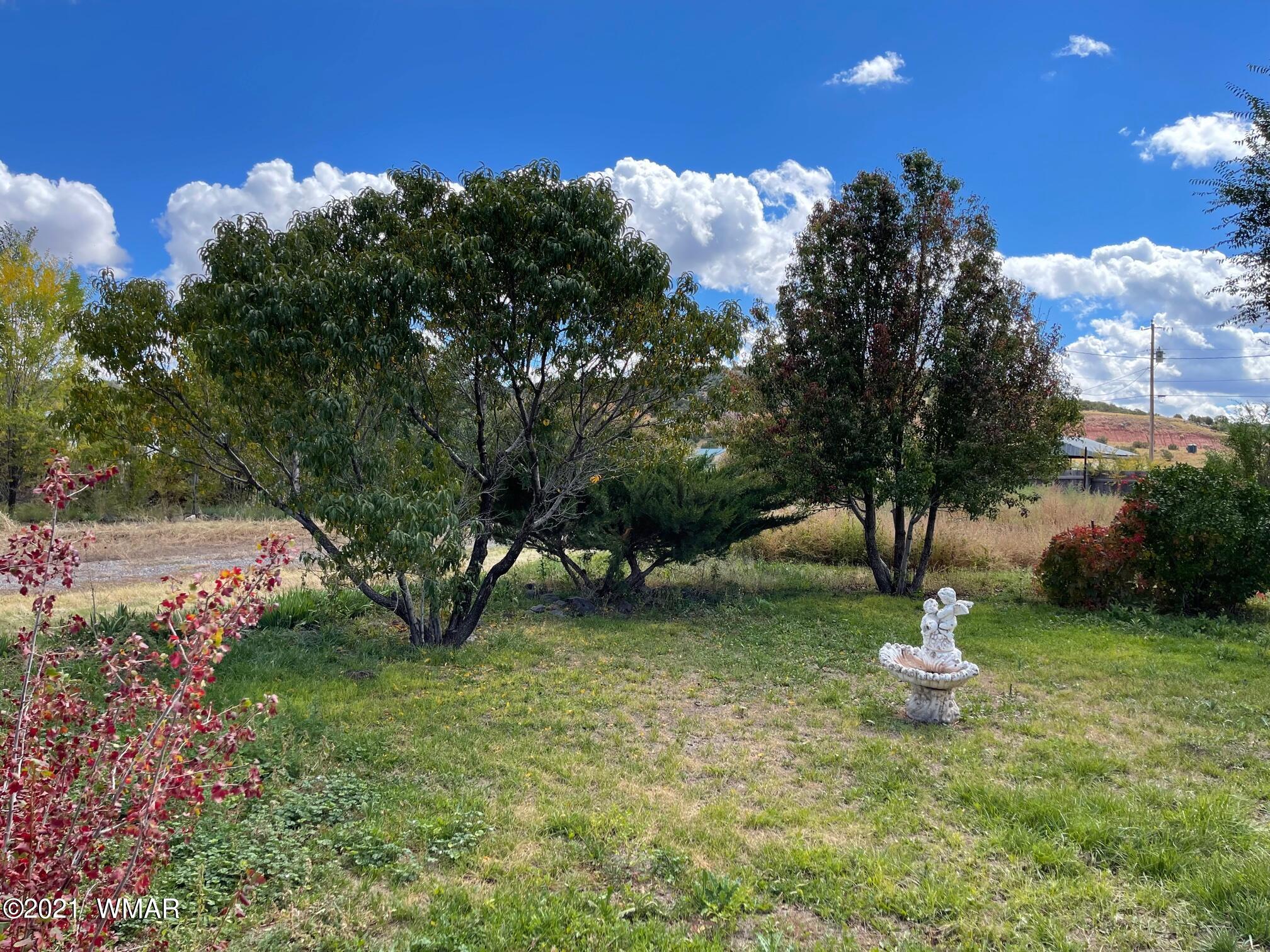 157 East Emerald Lane Springerville, AZ 85938 - Photo 4 of 25