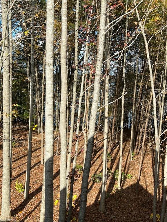 4962 Tigers Den Road Randleman, NC 27317 - Photo 40 of 42 Gallery Image 40