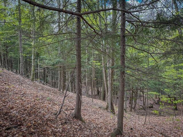 West Road Harrietta, MI 49638 - Photo 11 of 12 Gallery Image 11