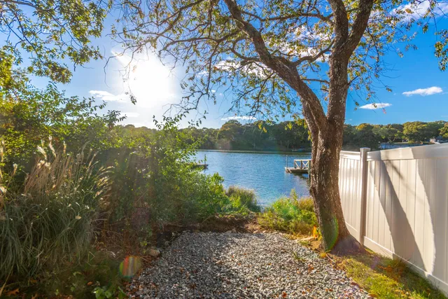 a view of a yard in front of a house with plants and large tree