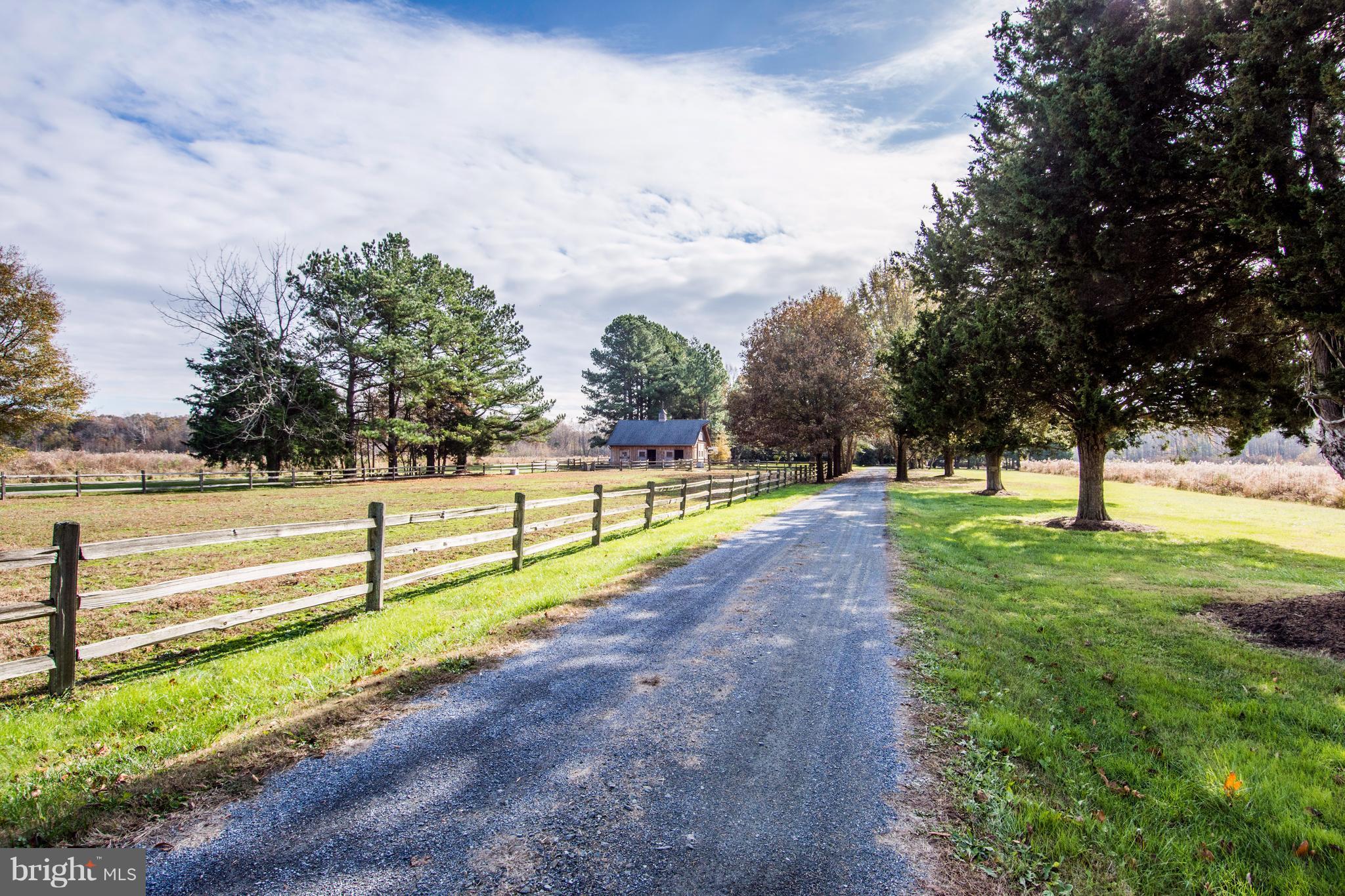 1625 Peters Corner Road Marydel, MD 21649 - Photo 2 of 30 a view of park with large trees