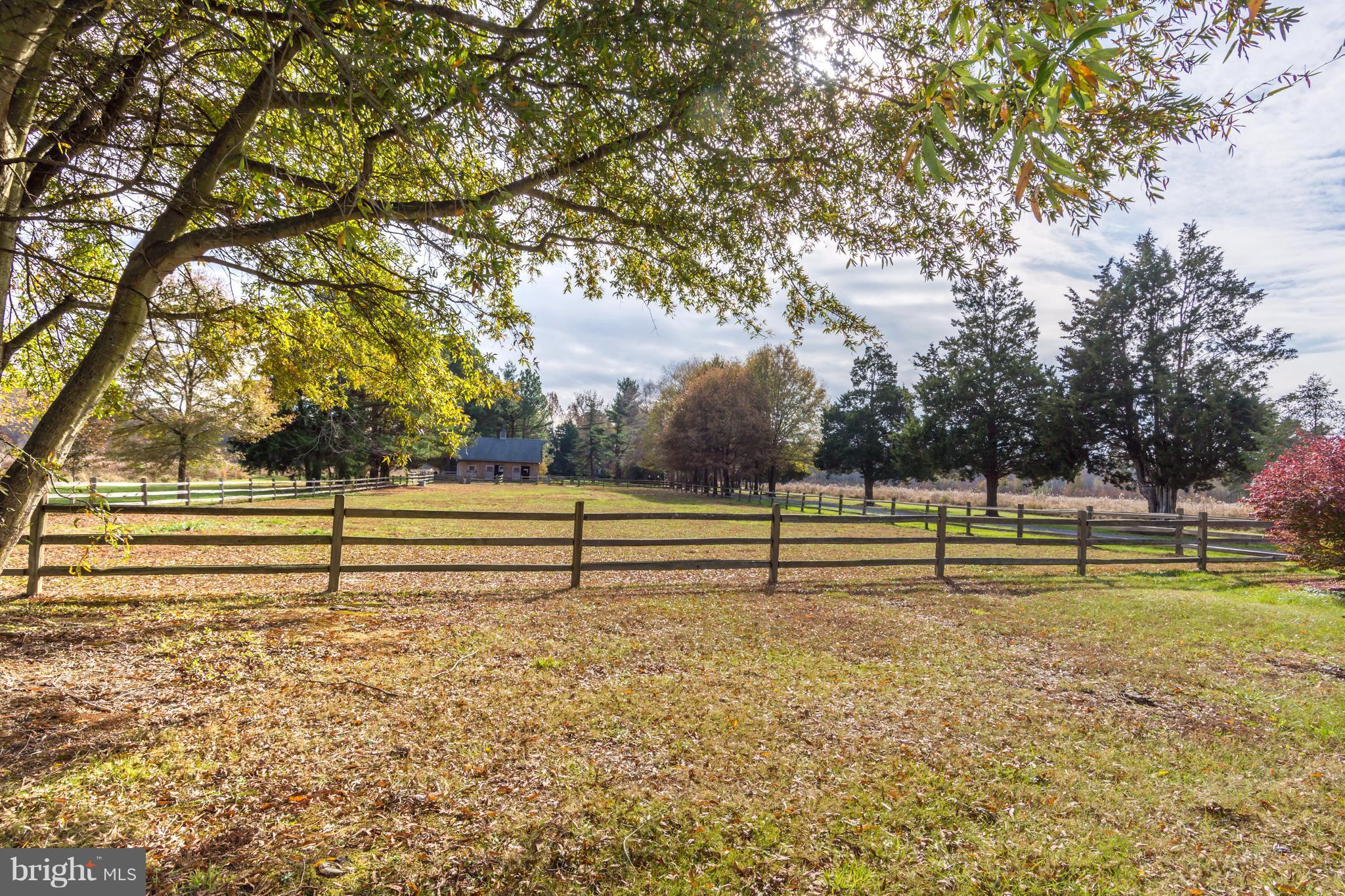 1625 Peters Corner Road Marydel, MD 21649 - Photo 23 of 30 a view of a yard with wooden fence