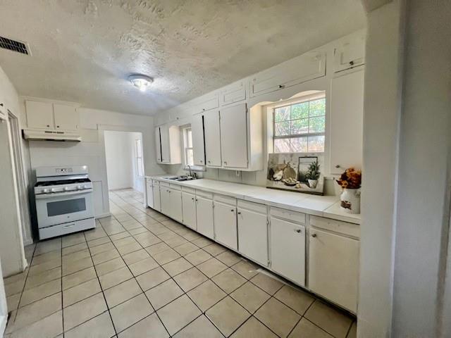 308 North Retta Street Fort Worth, TX 76111 - Photo 13 of 24 a kitchen with a sink cabinets and stainless steel appliances