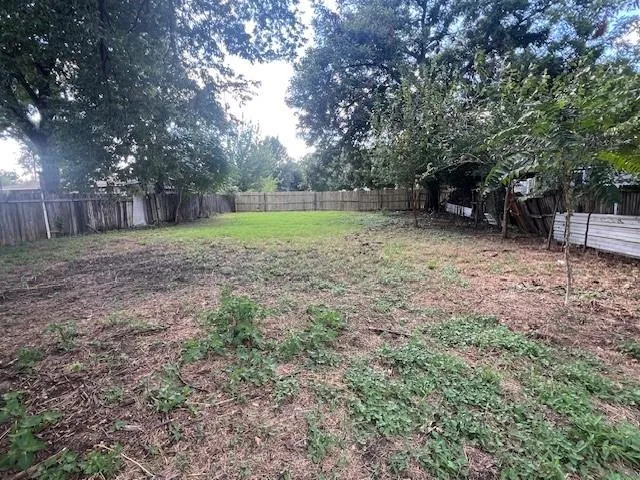 a view of a tree in the middle of a yard