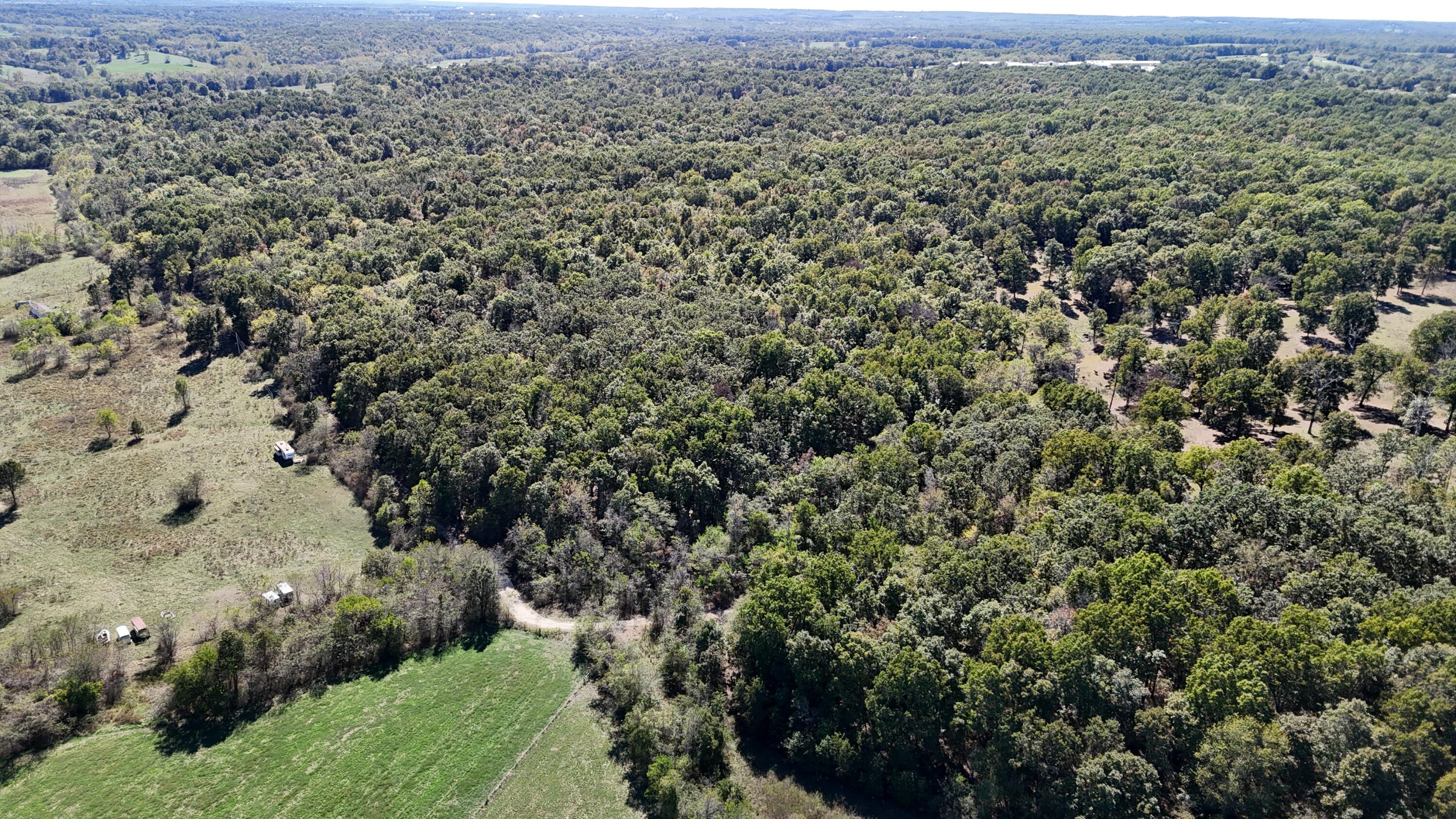 0 Grapevine Road Marshfield, MO 65706 - Photo 5 of 13 DJI_20251008131334_0545_D