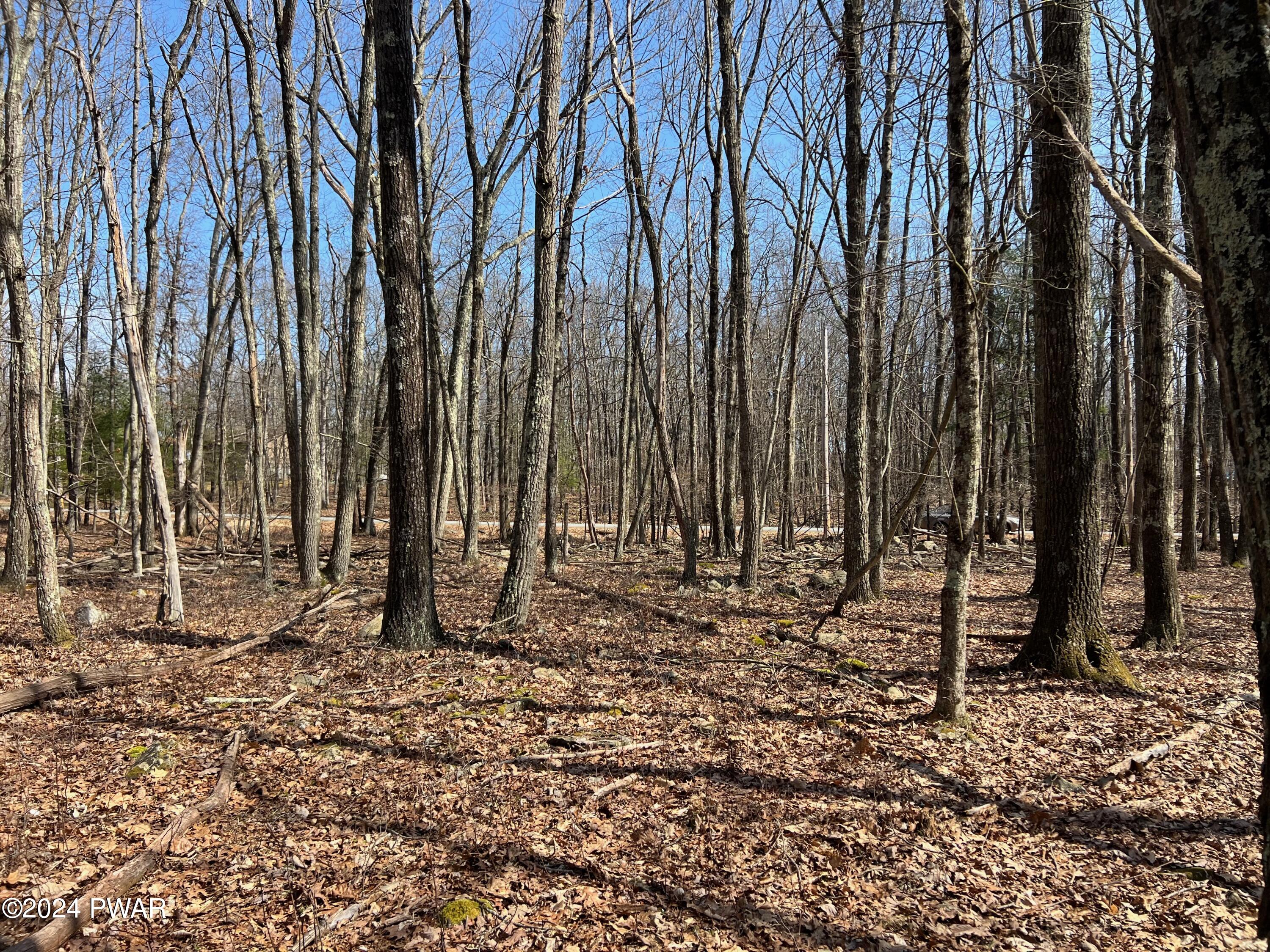 Lot 327 Ridgewood Lane Hawley, PA 18428 - Photo 13 of 30
