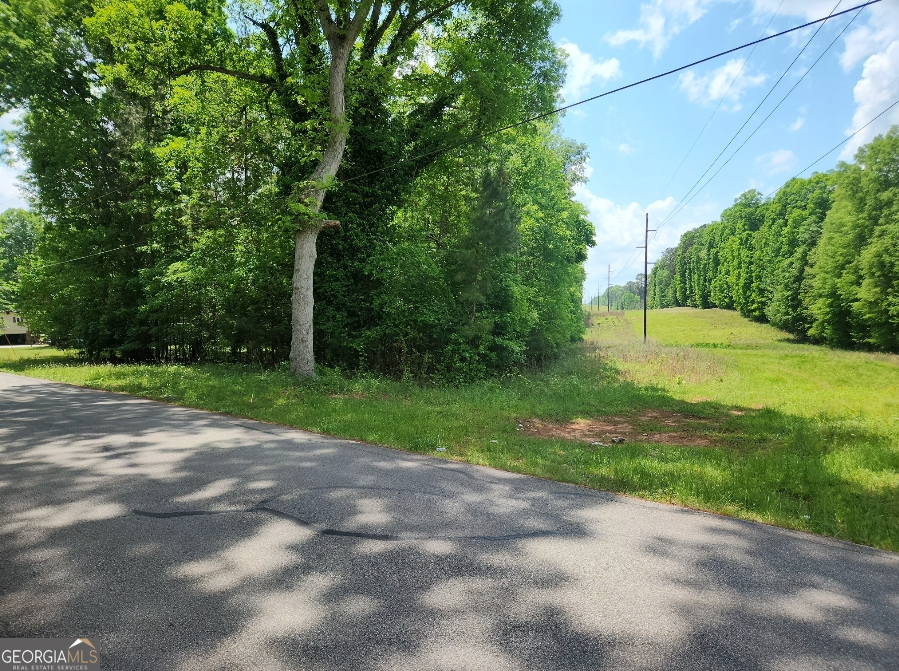 a view of a yard with a trees