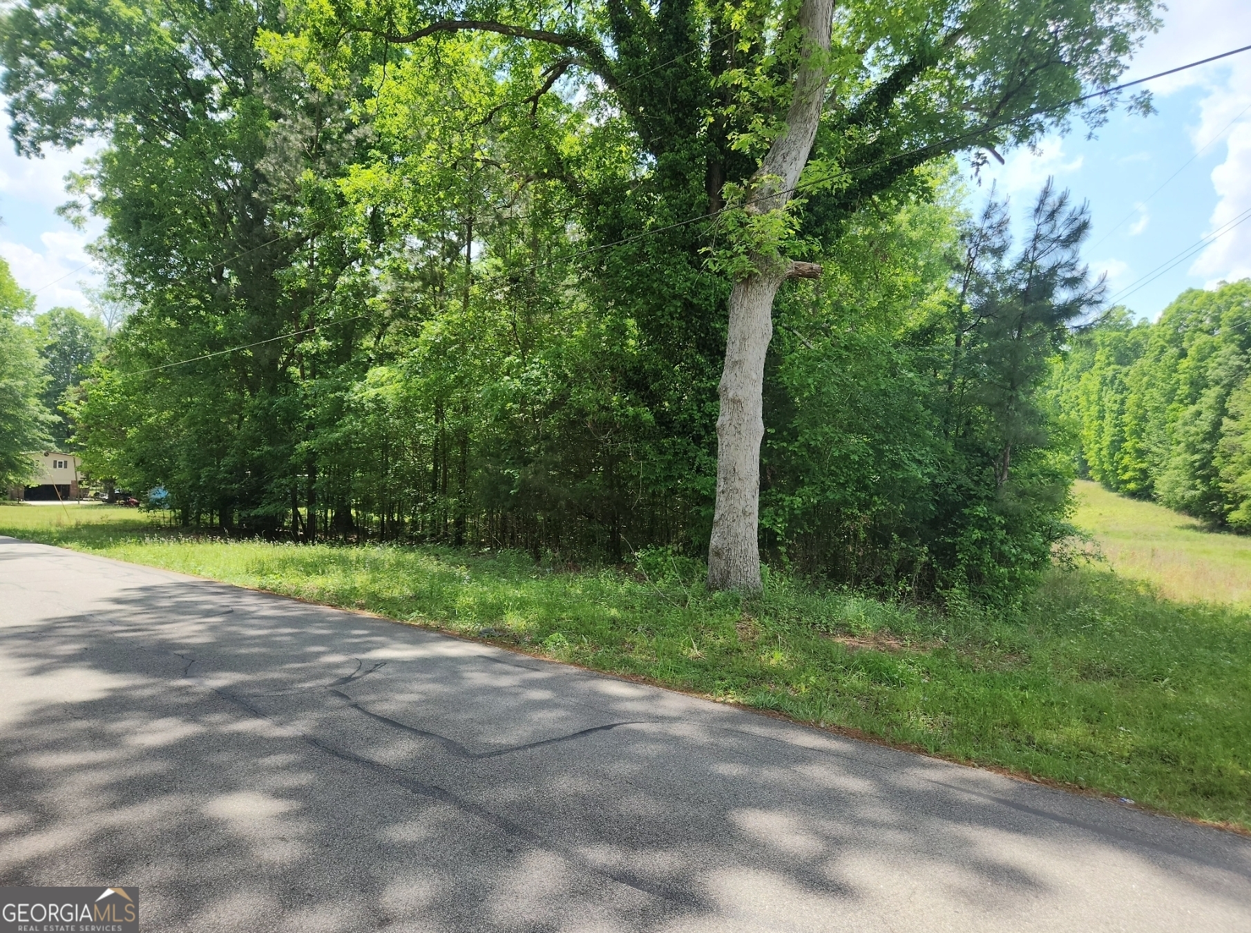 1241 Old Siloam Road Union Point, GA 30669 - Photo 2 of 5 a view of a park