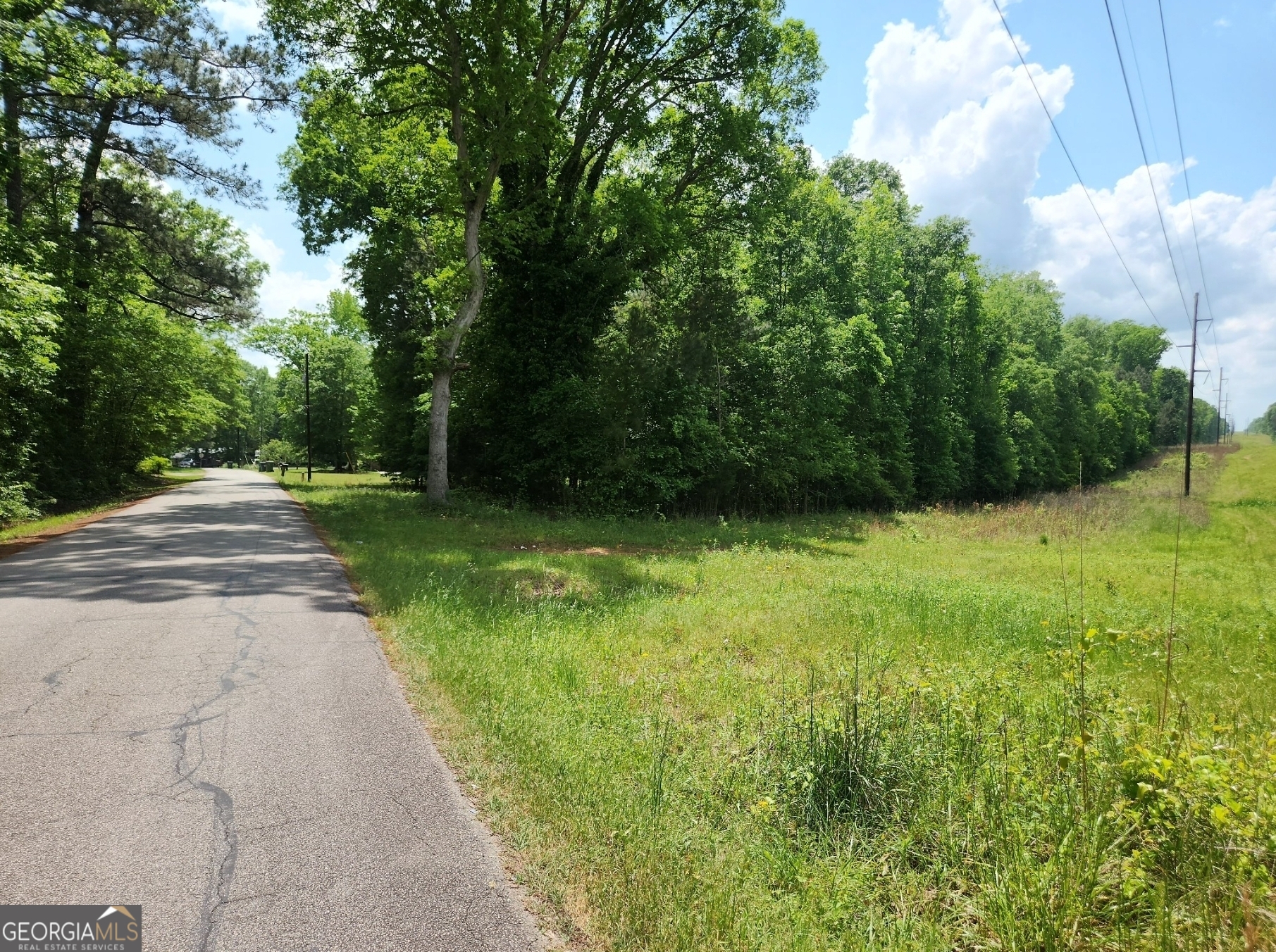 1241 Old Siloam Road Union Point, GA 30669 - Photo 4 of 5 a view of a yard with plants and large trees