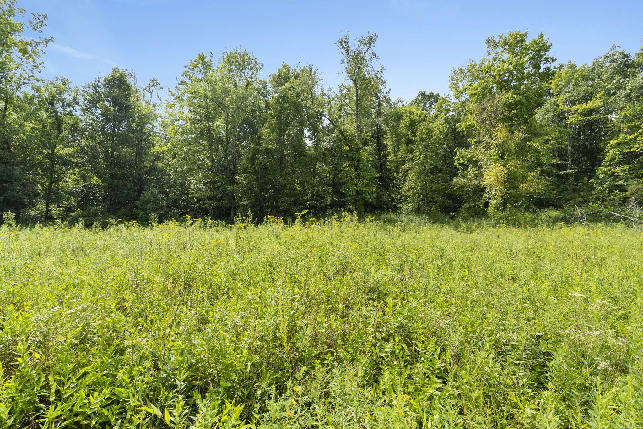9999 Walters Road Hope, KY 40334 - Photo 10 of 13 12-web-or-mls-Copy of DSC08965