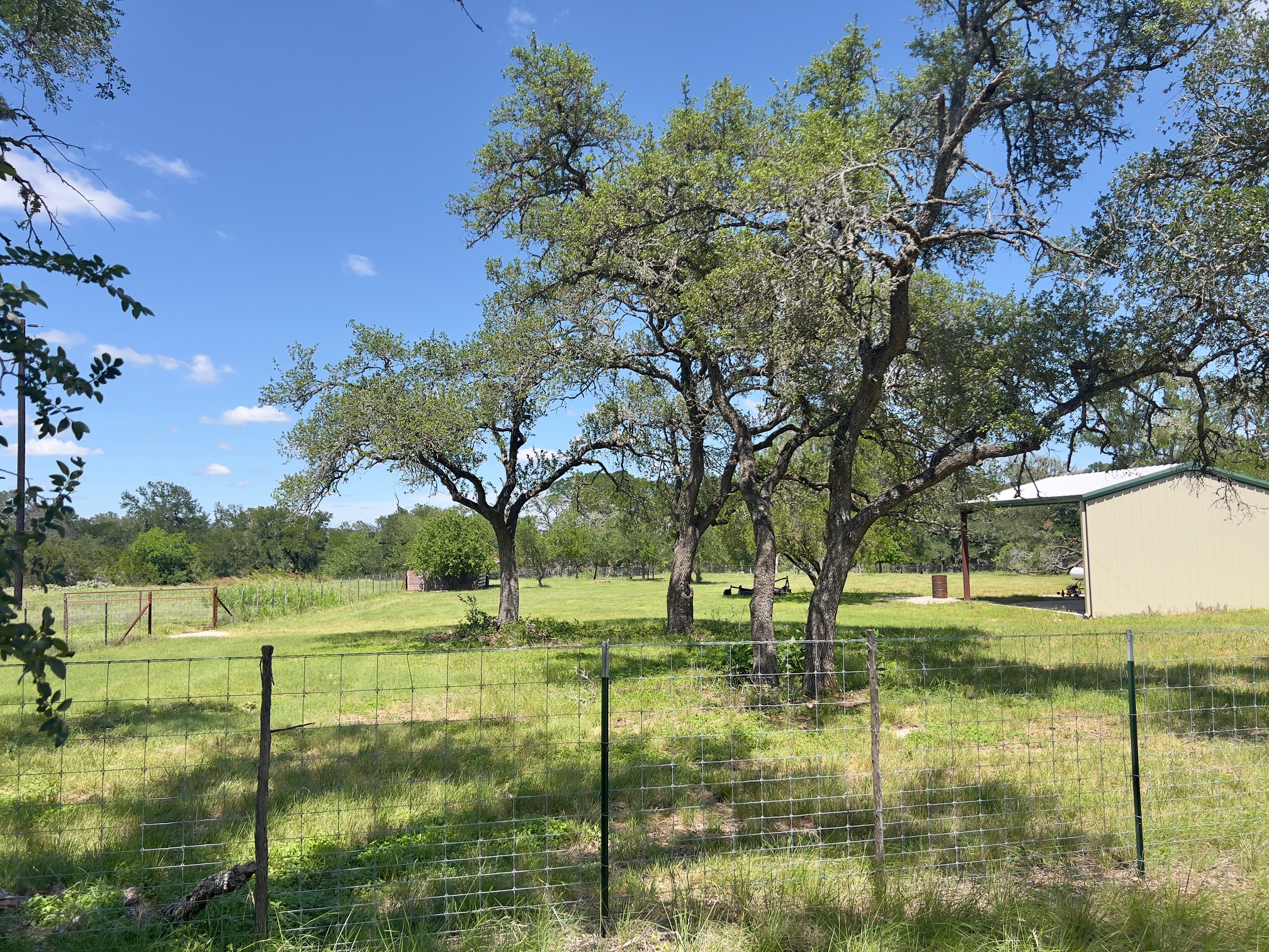 1366 Narrows Road Blanco, TX 78606 - Photo 27 of 29