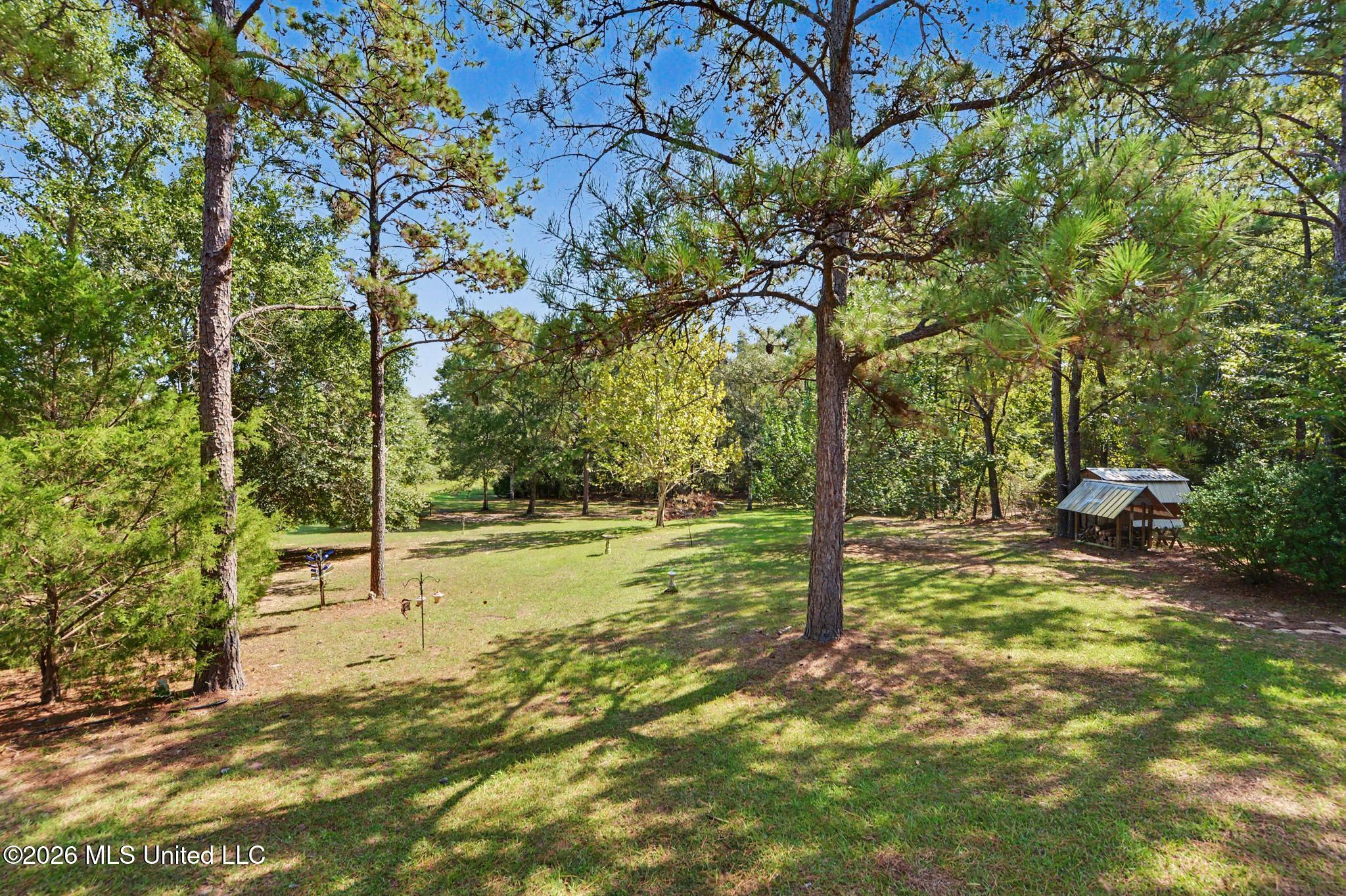 154 Read Road Lucedale, MS 39452 - Photo 25 of 39 025