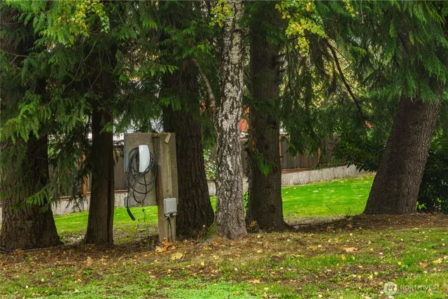 a view of a backyard