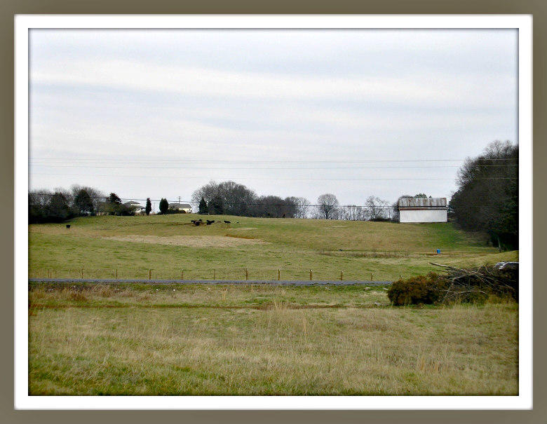 Lot 9 Burchfield Road Dandridge, TN 37725 - Photo 10 of 10 7F