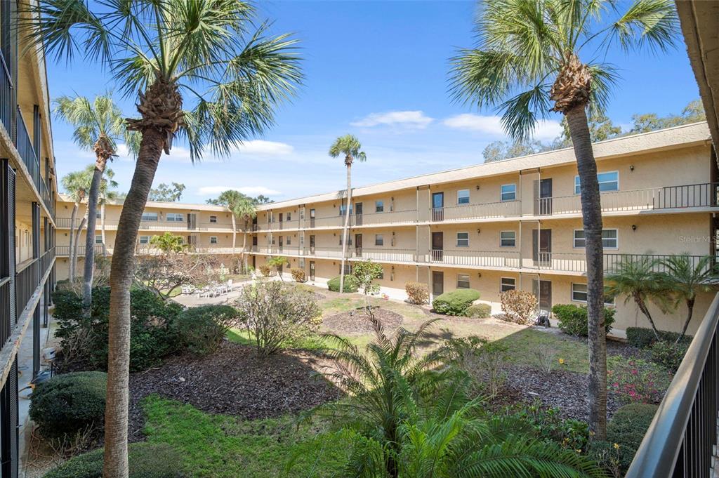 11485 Oakhurst Road, Unit 200208 Largo, FL 33774 - Photo 4 of 25 a view of a palm trees in front of a house