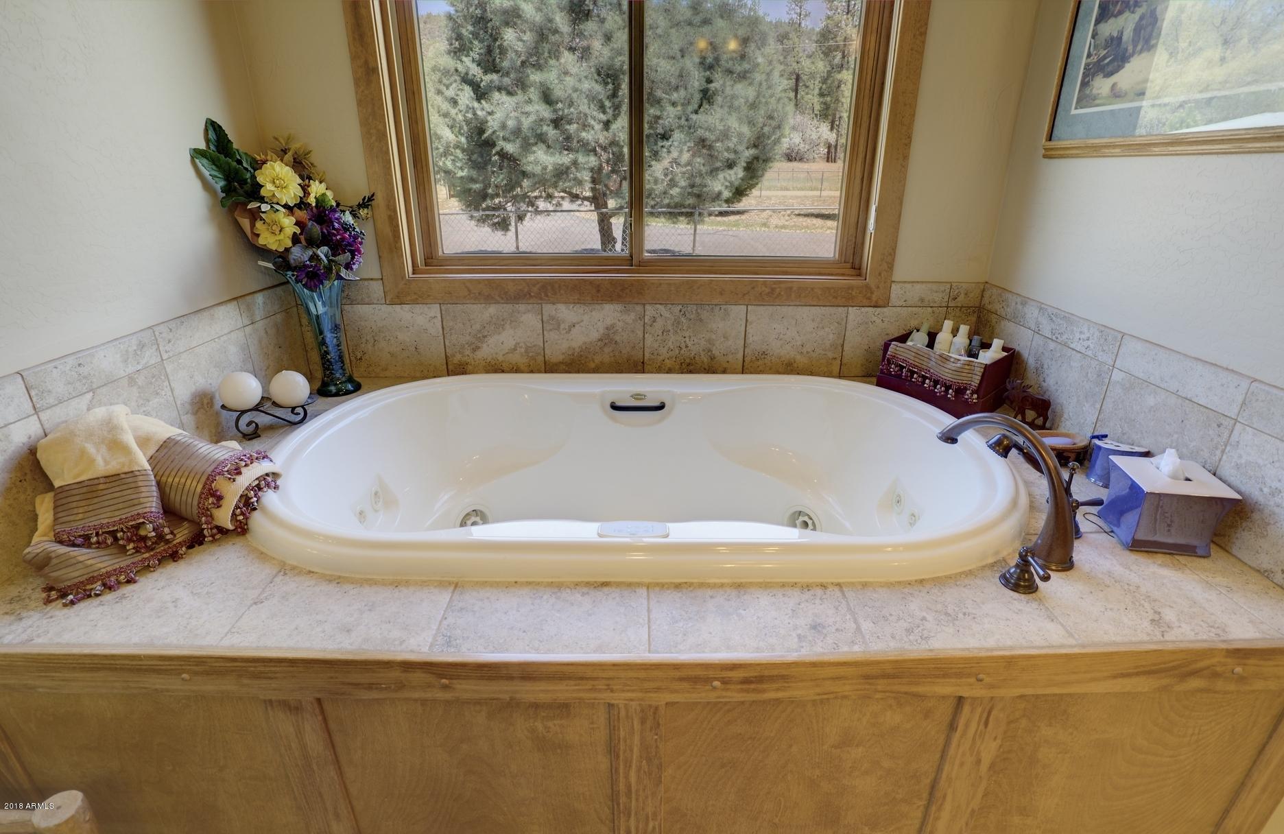 9247 Juniper Road Strawberry, AZ 85544 - Photo 22 of 54 Master Jetted Tub