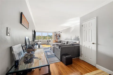 a living room with furniture and a rug