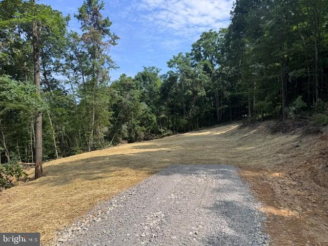Tbd Locust Grove Road Thornton, WV 26440 - Photo 11 of 24