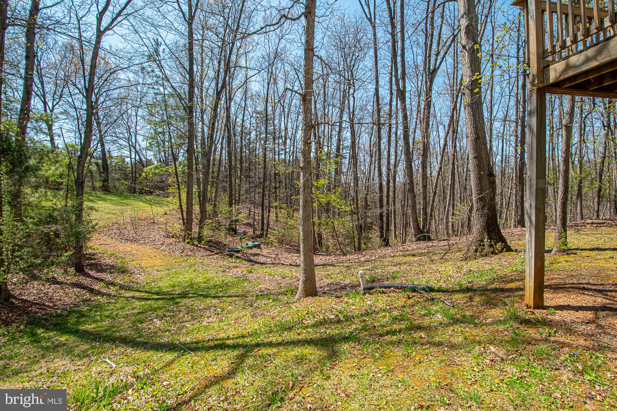 646 Guard Hill Road Middletown, VA 22645 - Photo 6 of 56 Backyard