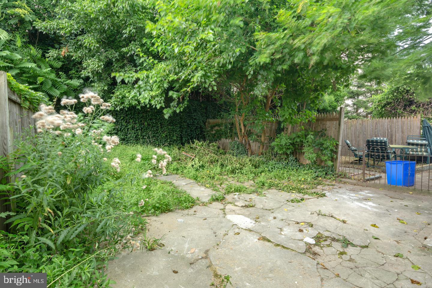 3789 Cresson Street Philadelphia, PA 19127 - Photo 3 of 19