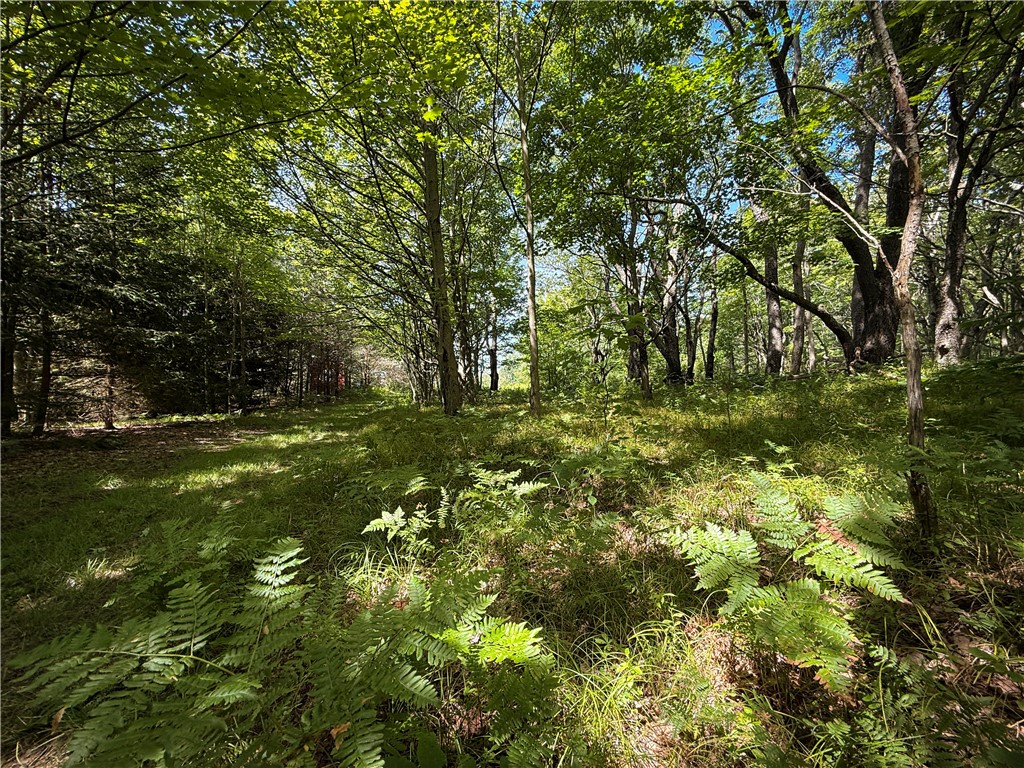 6989 Ross Road Canadice, NY 14560 - Photo 30 of 50 Gallery Image 30