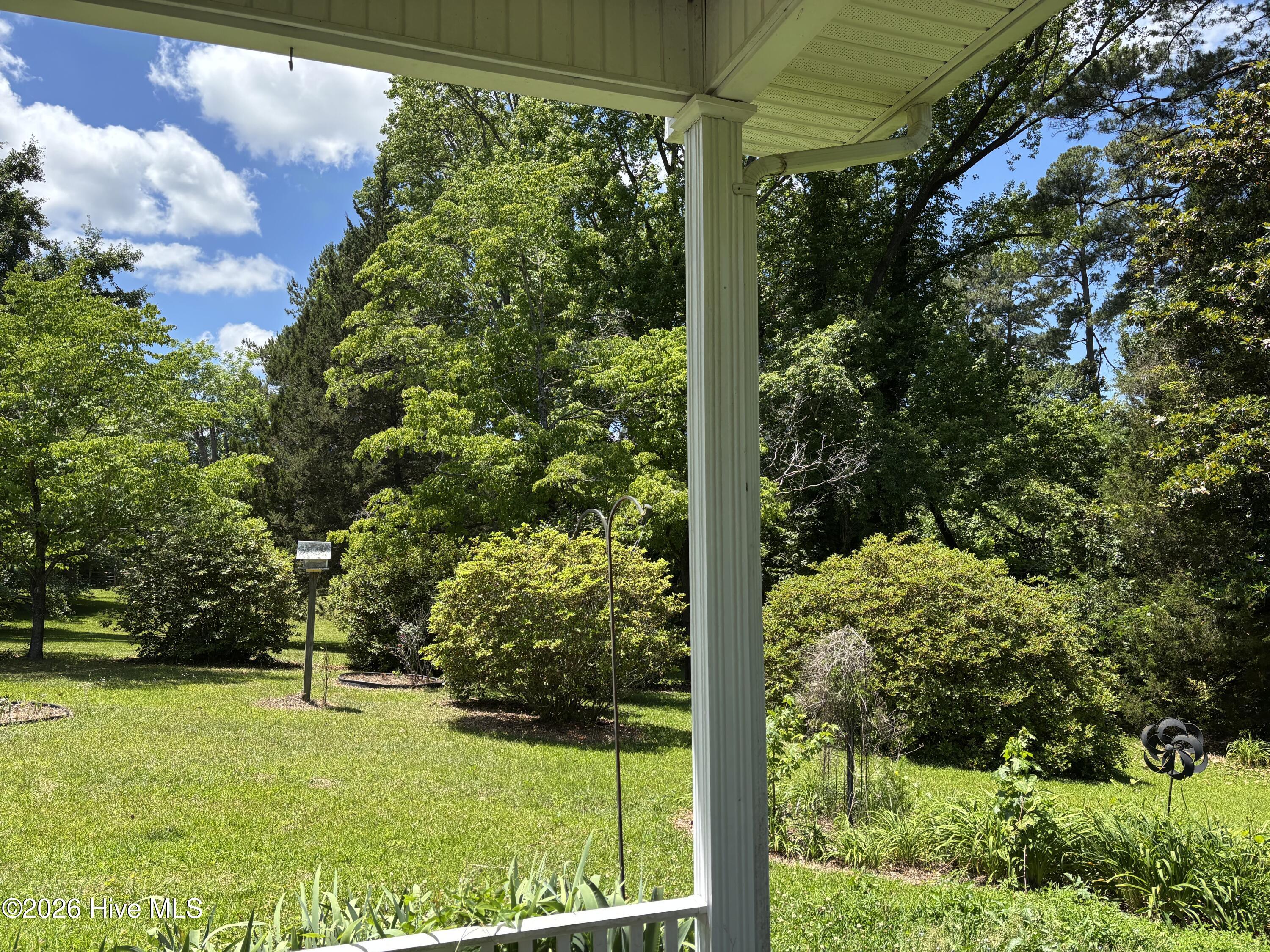 312 Neuse Cliff Road New Bern, NC 28560 - Photo 32 of 56 Beautiful backyard