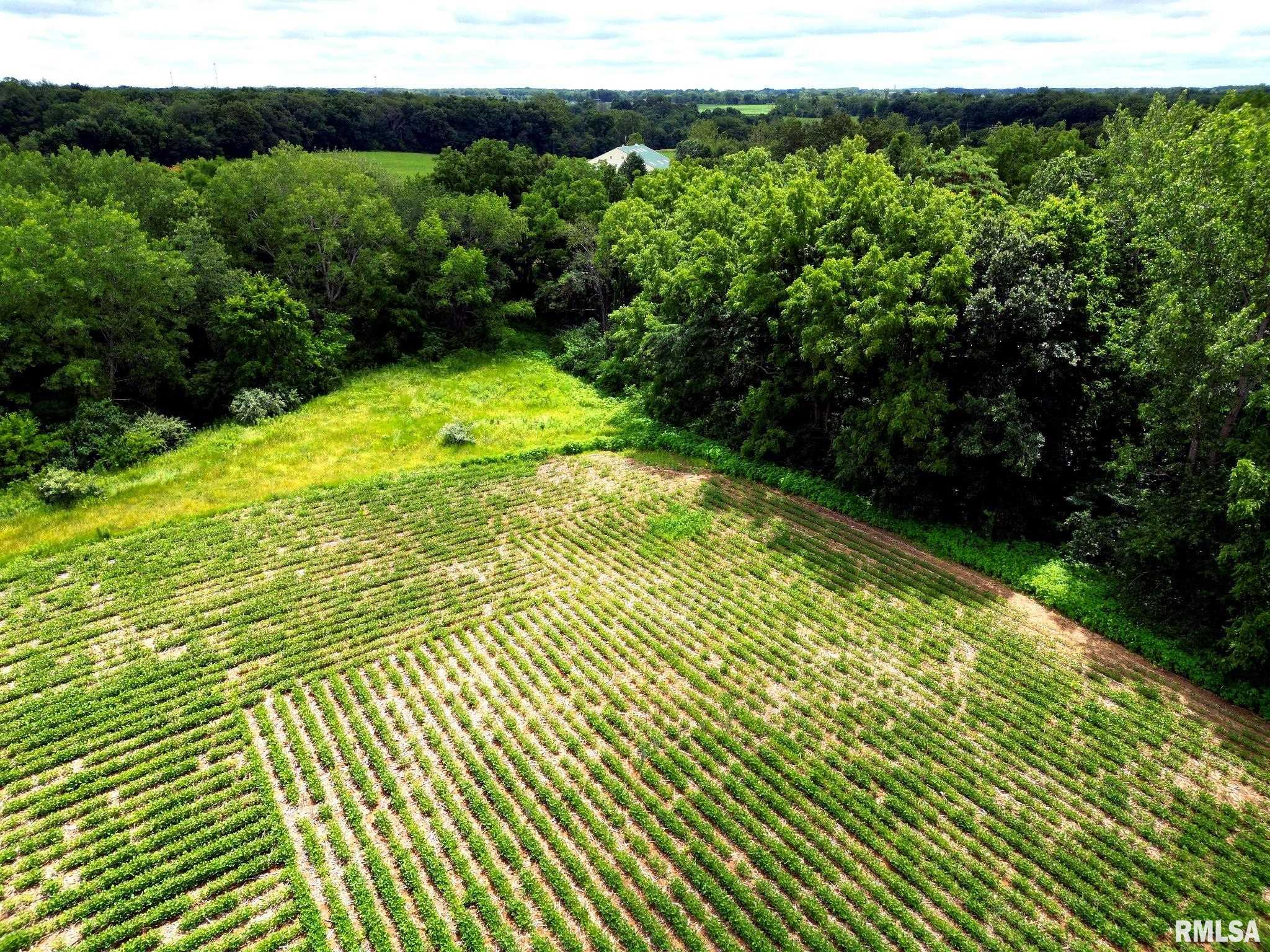 0 North Jackson Road Canton, IL 61520 - Photo 15 of 18