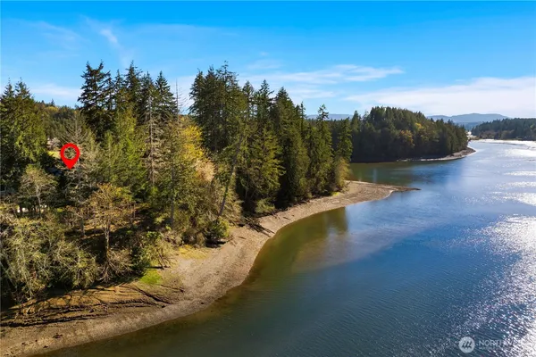 a view of a lake in middle of forest