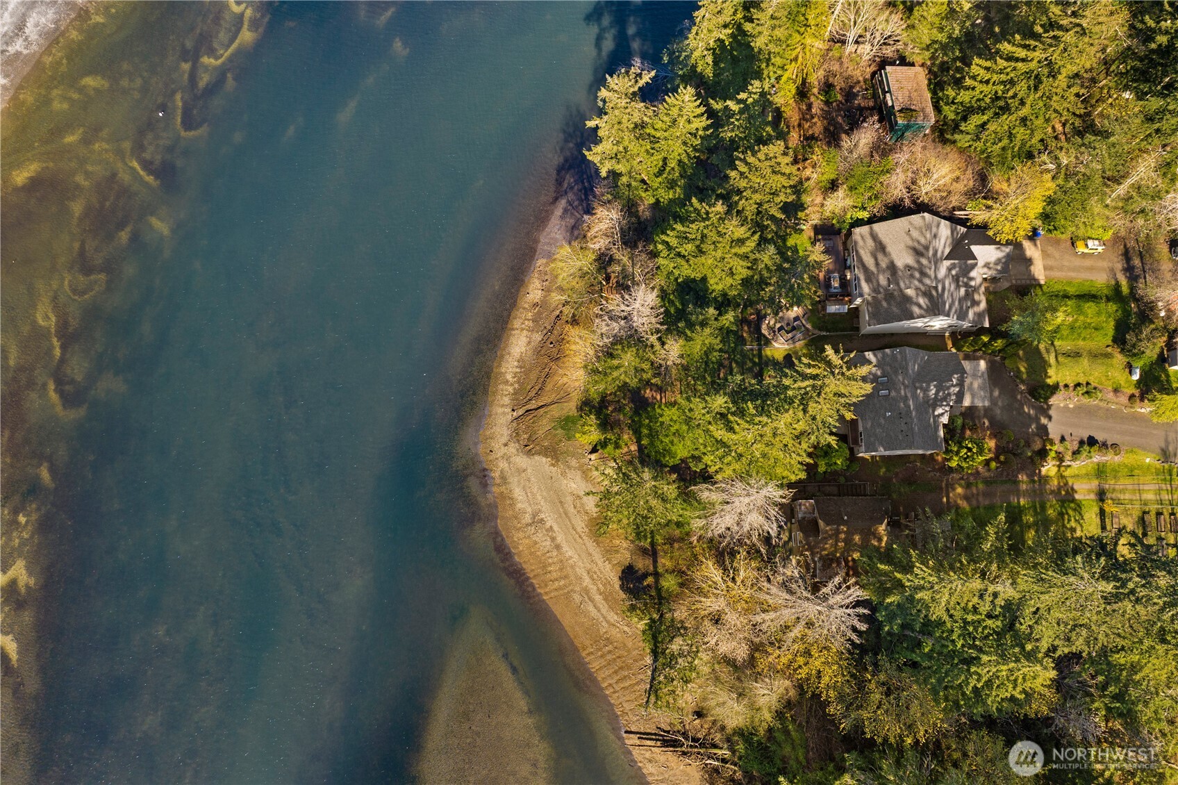 730 Southeast Nelson Road Shelton, WA 98584 - Photo 37 of 40 a close up of a plant in a garden