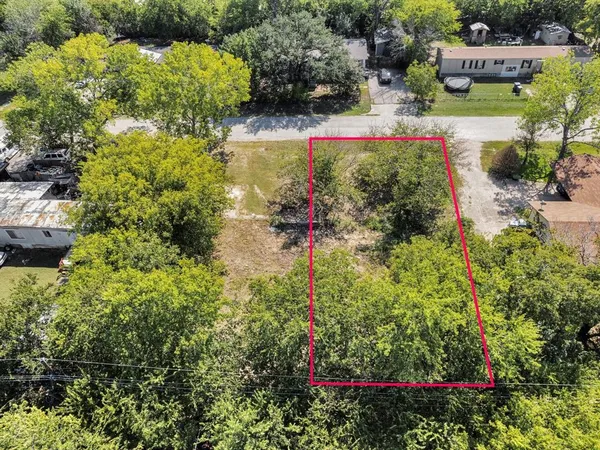 a view of a garden with flowers